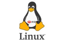 Linux 磁盘 IO 性能瓶颈分析方法-国外主机测评