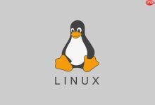 Linux 多核 CPU 下进程是如何被调度的-国外主机测评