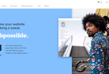 Bluehost春季闪电促销：主机价格最低仅需2.95美元/月-国外主机测评