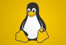 Linux 负载高但 CPU 空闲的常见原因-国外主机测评