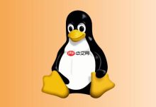 Linux 孤儿进程为何不会拖垮系统-国外主机测评