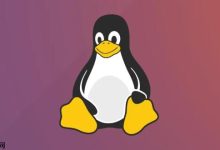 Linux 进程优先级与调度策略实战-国外主机测评