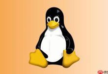 Linux 文件删除后空间未释放的原因-国外主机测评