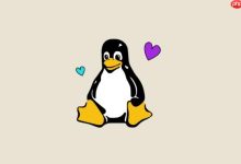 Linux 运维脚本如何设计才足够健壮-国外主机测评