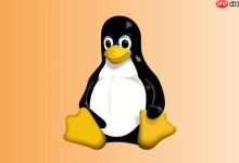 进程卡在 D 状态 [kthreadd] / [kswapd0] 的深层原因定位-国外主机测评